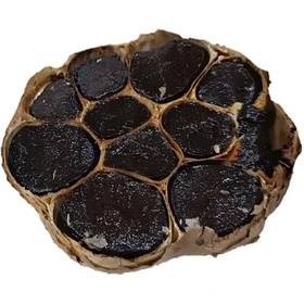 سیر سیاه درشت