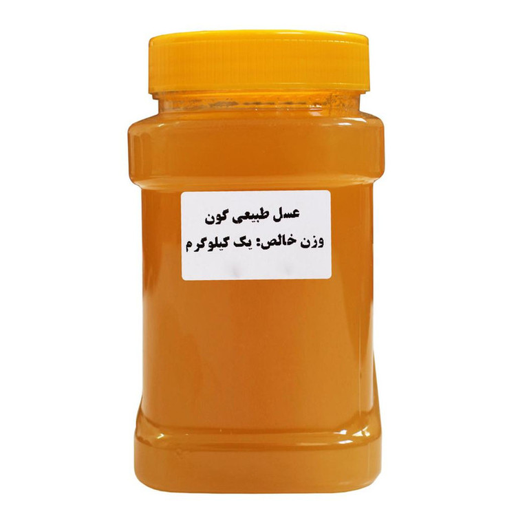 عسل طبیعی گون - 1 کیلوگرم
